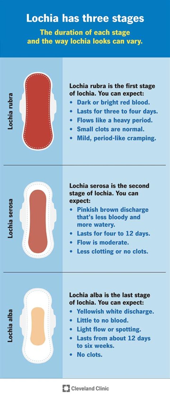 What lochia is normal?