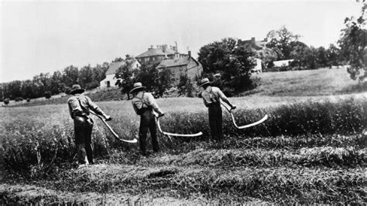 What major weaknesses has appeared in the American economy by 1929?