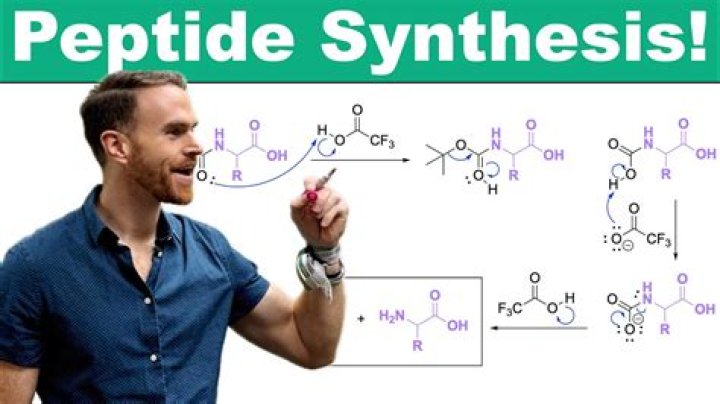 What method is used to chemically synthesize peptides?