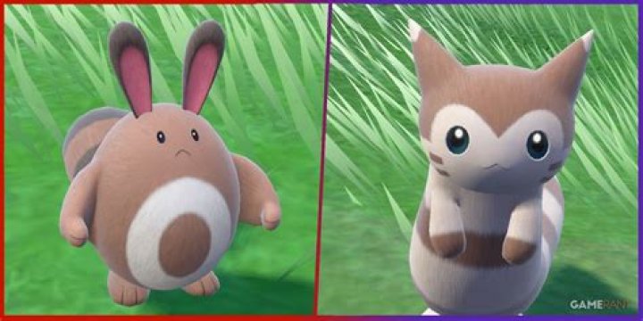 What moves does Furret know?