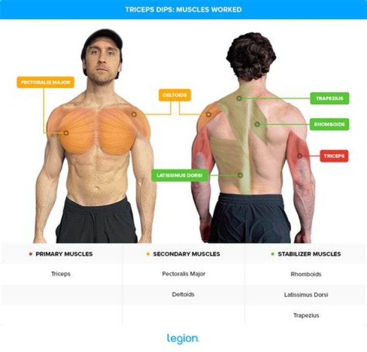 What muscles get worked by dips?