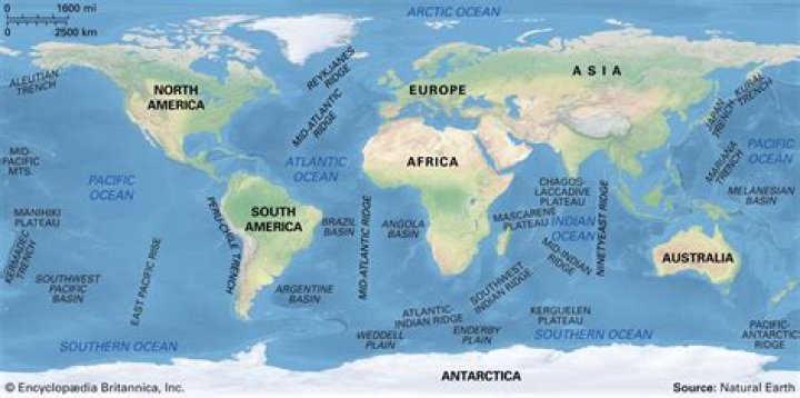 What occupies the largest part of ocean basins?