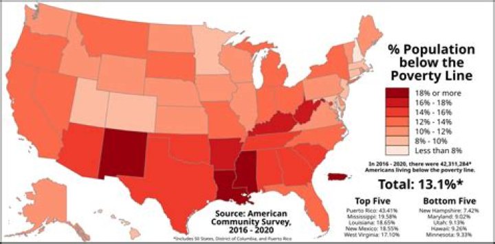 What percentage of Americans live below the official US poverty line?