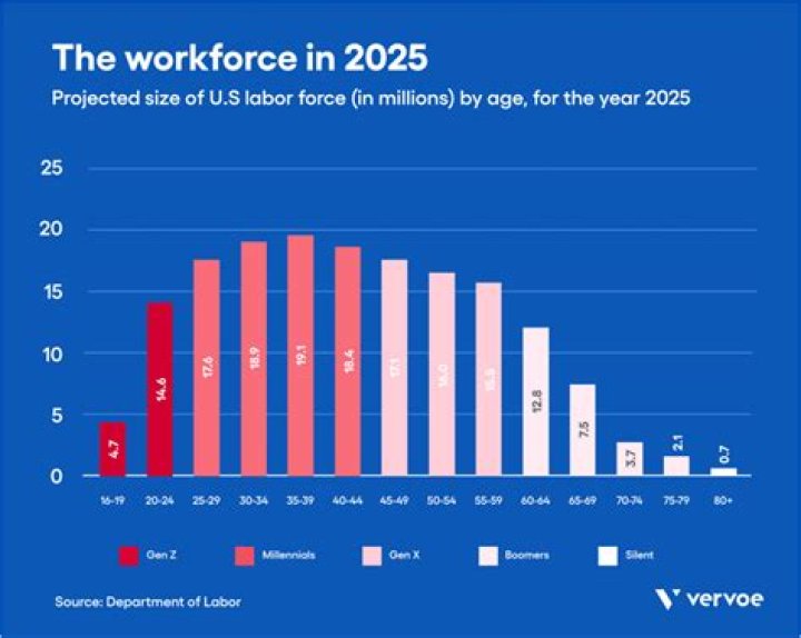 What percentage of Americans make up the workforce?