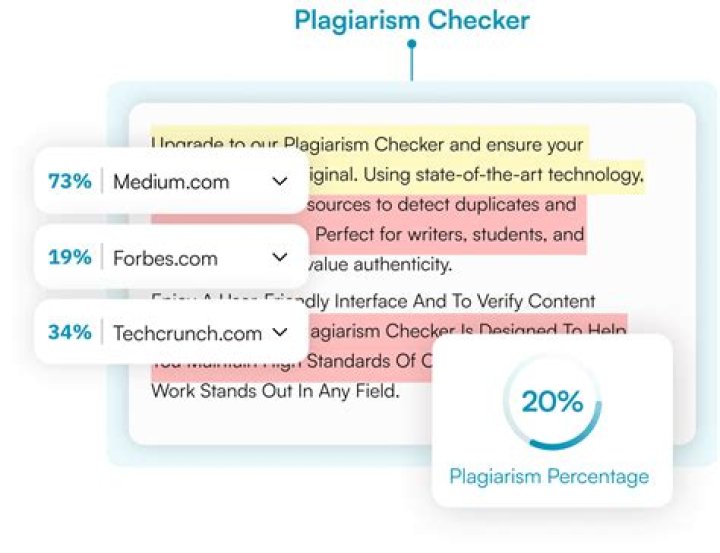 What plagiarism checker do universities use UK?