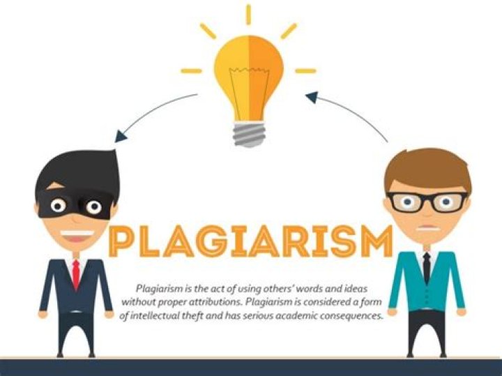 What plagiarism might look like?
