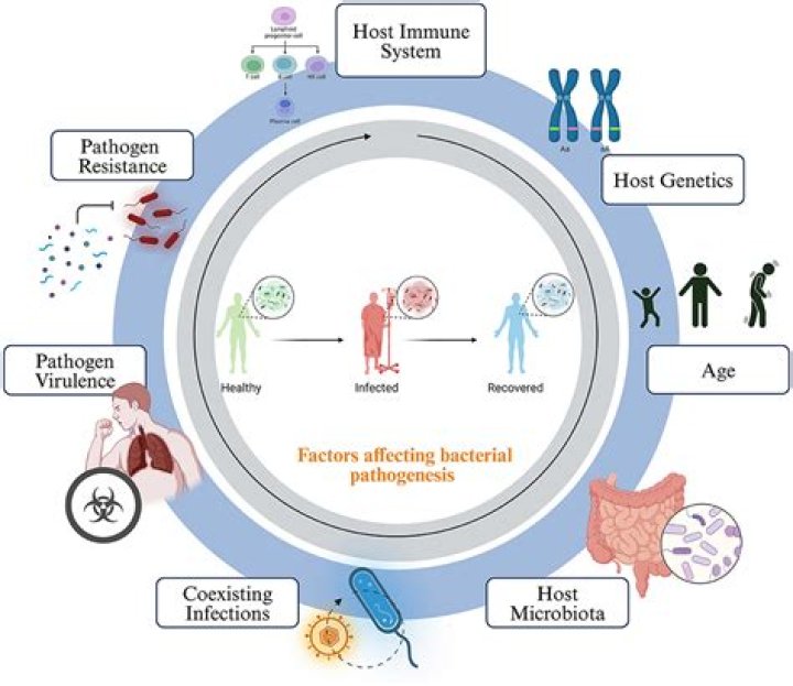 What problems do pathogens cause?