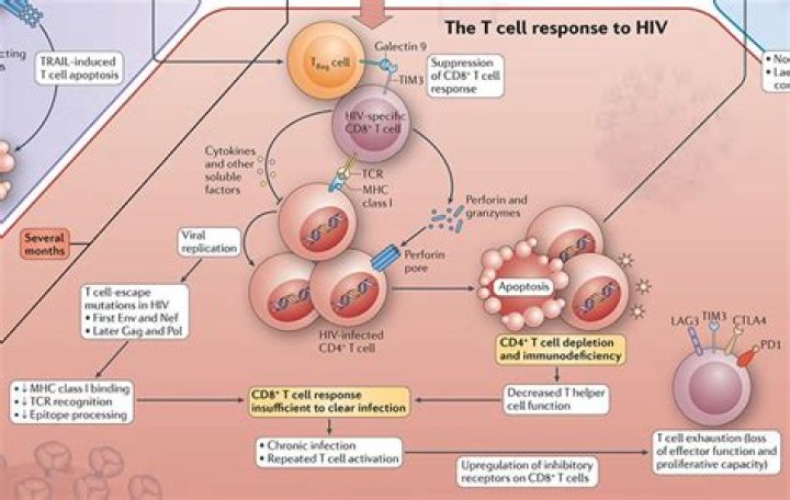 What race is immune to HIV?