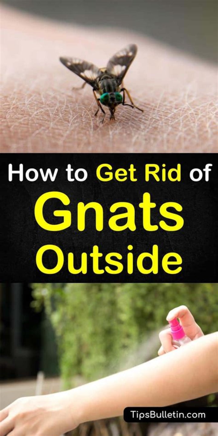 What repels gnats outside?