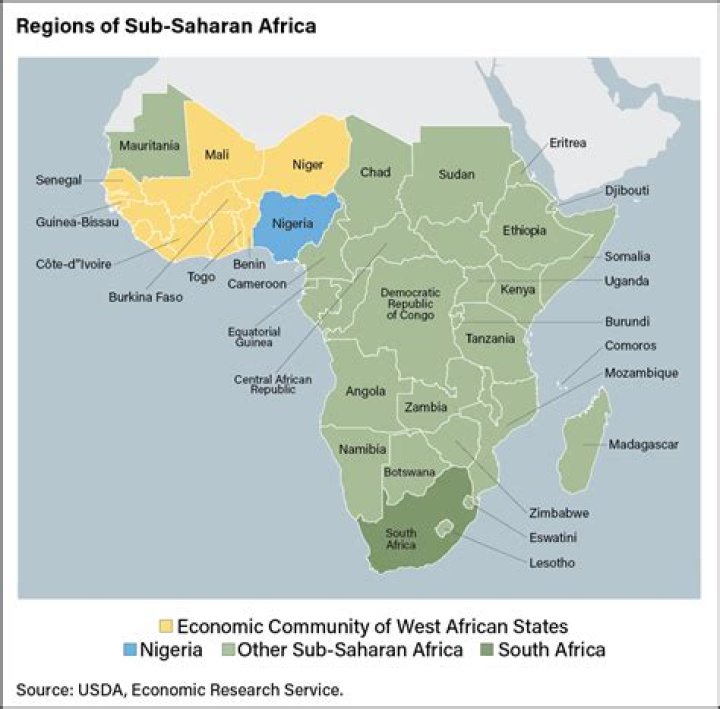What resources make sub-Saharan Africa important to the world economy?