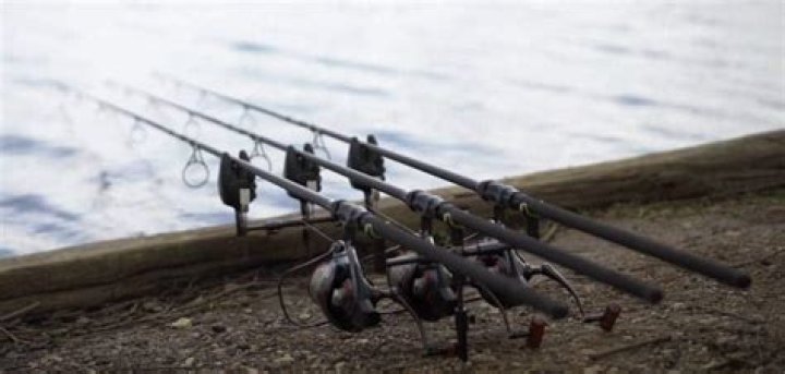 What rod is best for carp fishing?