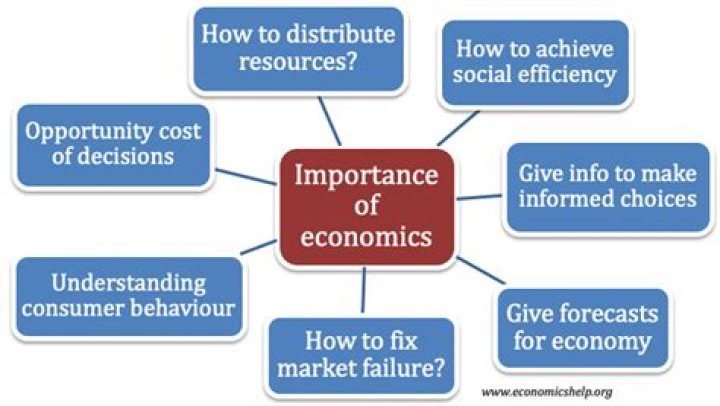 What role does economics play in politics?