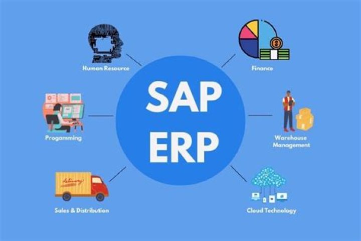 What SAP means?