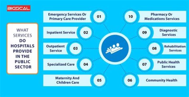 What services does the cancer Society provide?