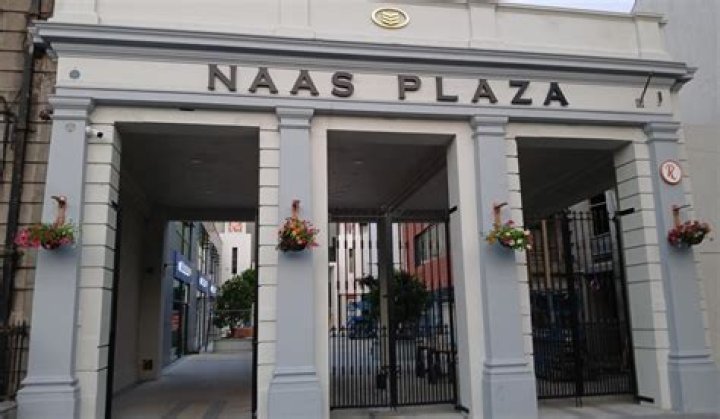 What shops are in Naas Shopping Centre?