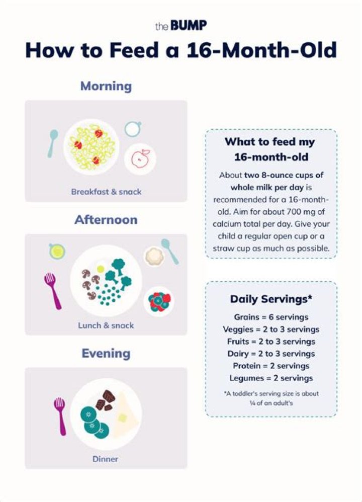 What should a 16 month old baby be doing?