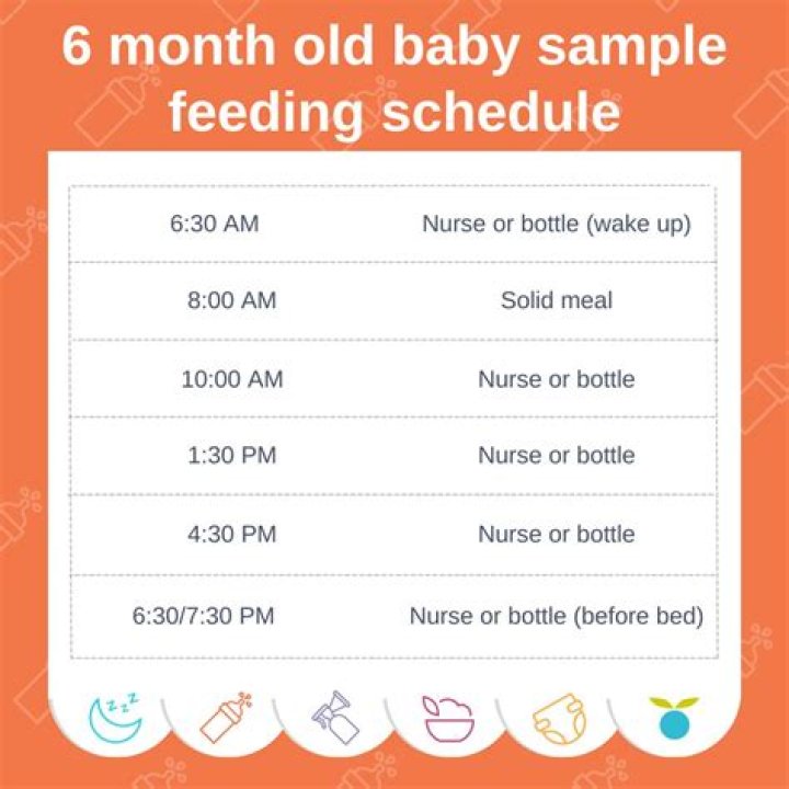 What should a normal 6-month-old be doing?