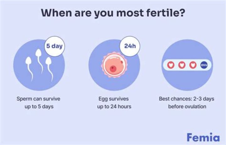 What should you do health wise before getting pregnant?