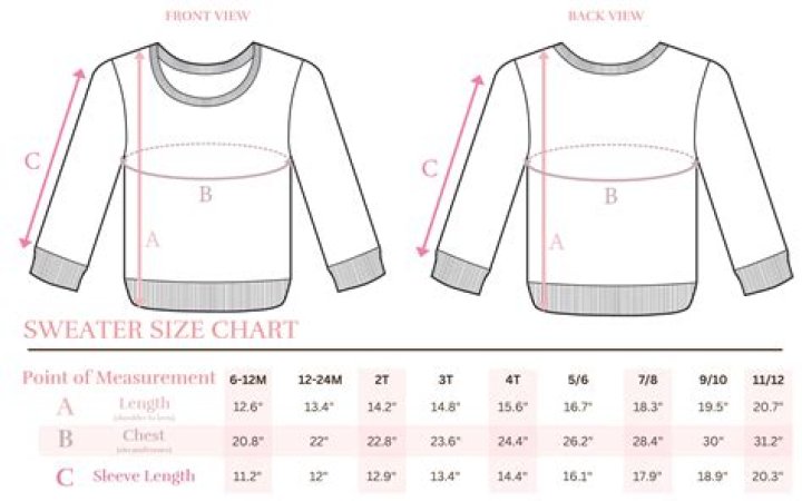 What size sweater does a lab wear?