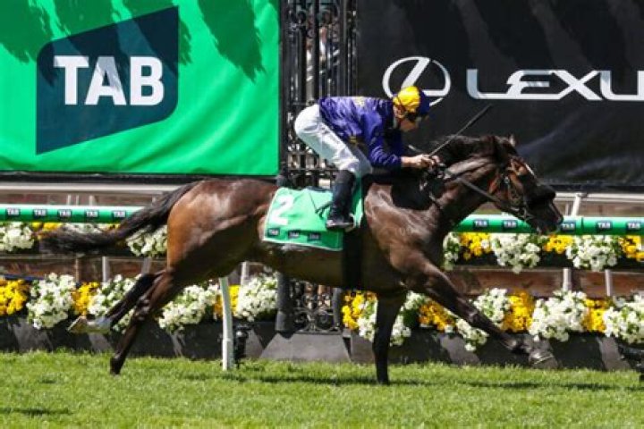 What time does NSW TAB open today?