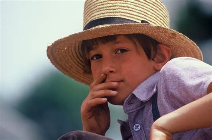 What tools do Amish use?