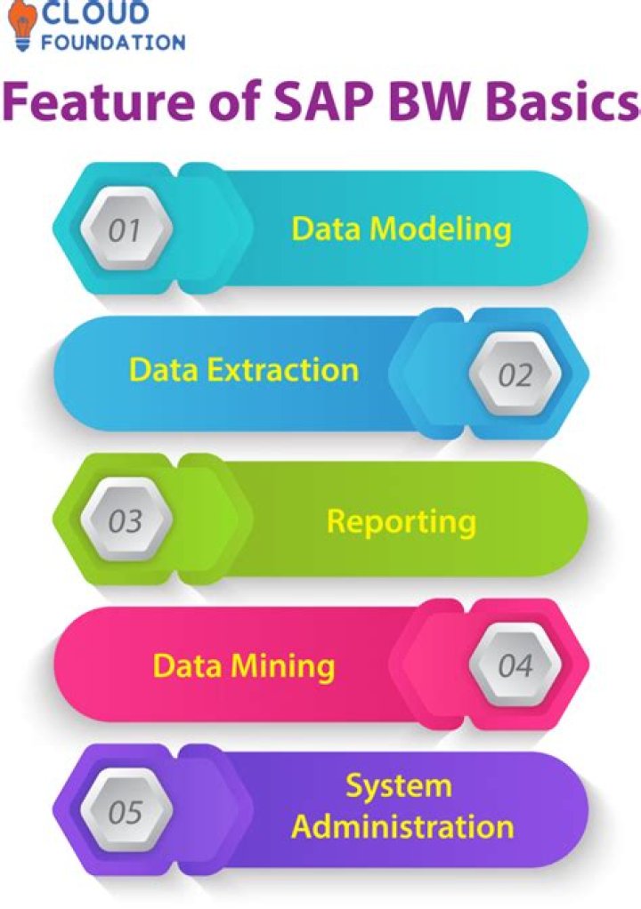 What type of data extraction is possible with SAP BW?