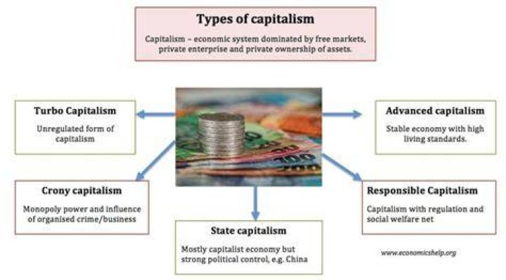 What type of economy does a capitalist country have?
