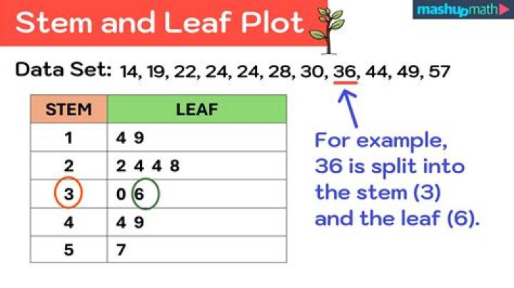 What type of graph is a stem and leaf plot?
