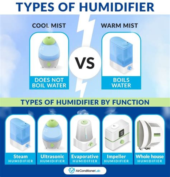 What type of humidifier is quietest?