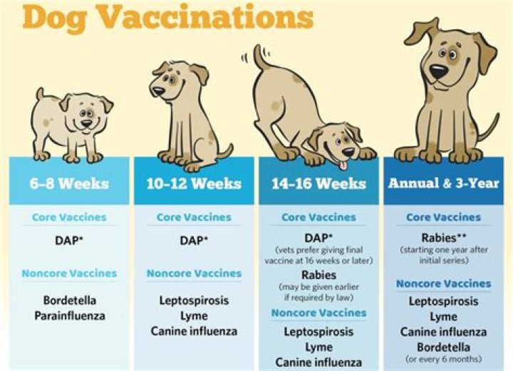 What vaccinations do puppies need in Australia?
