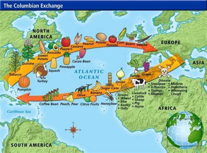 What was the economic impact of the Columbian Exchange?