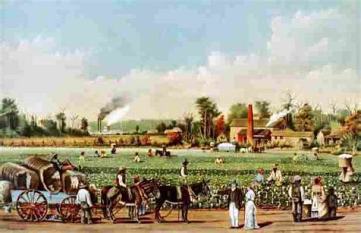 What was the economy in the colony of Virginia?