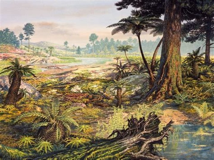 What was the environment like during the Cenozoic Era?