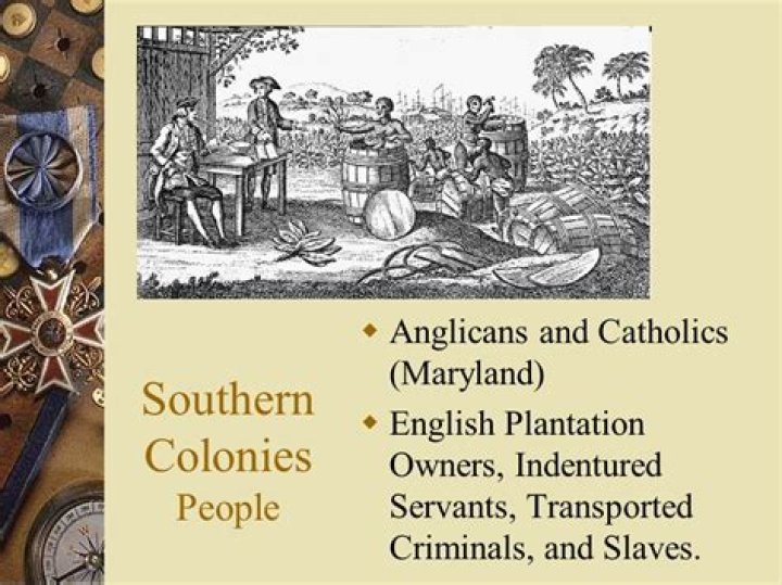 What was the main economic venture of the Southern colonies?