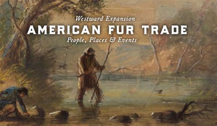 What was the result of intense competition in the fur trade?