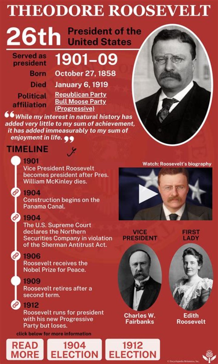 What was Theodore Roosevelt economic policy?