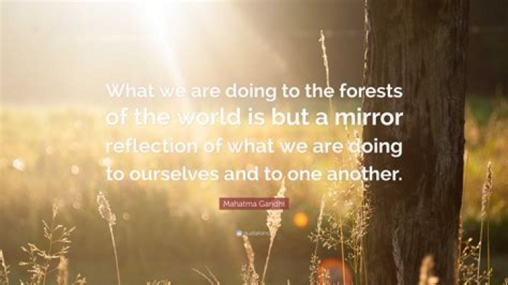 What we are doing to the forest quotes?