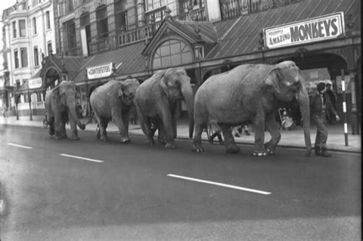 When did Blackpool Tower Circus stop using animals?