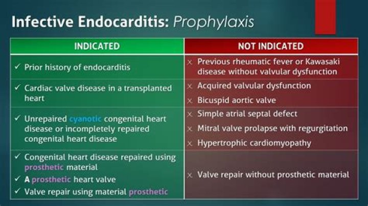 When do you give prophylaxis for endocarditis?