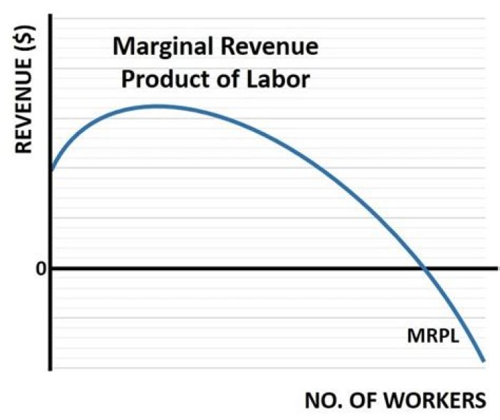 When the marginal revenue product of labor is less than the wage a firm should?