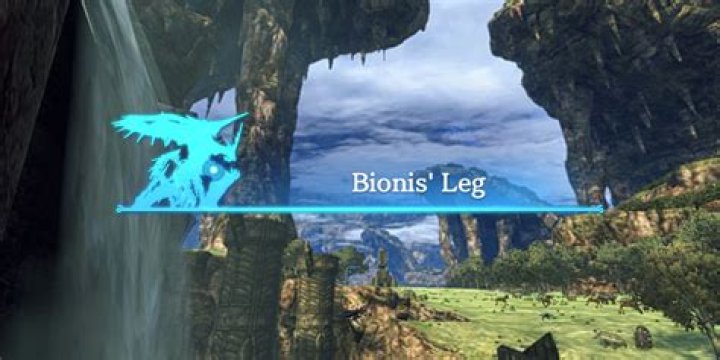 Where are Bionis Gogols legs?
