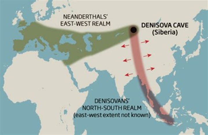 Where are Denisovans found?