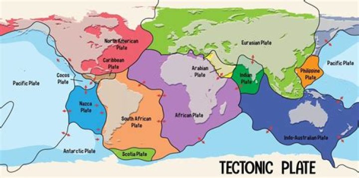 Where are the 7 major tectonics plate?