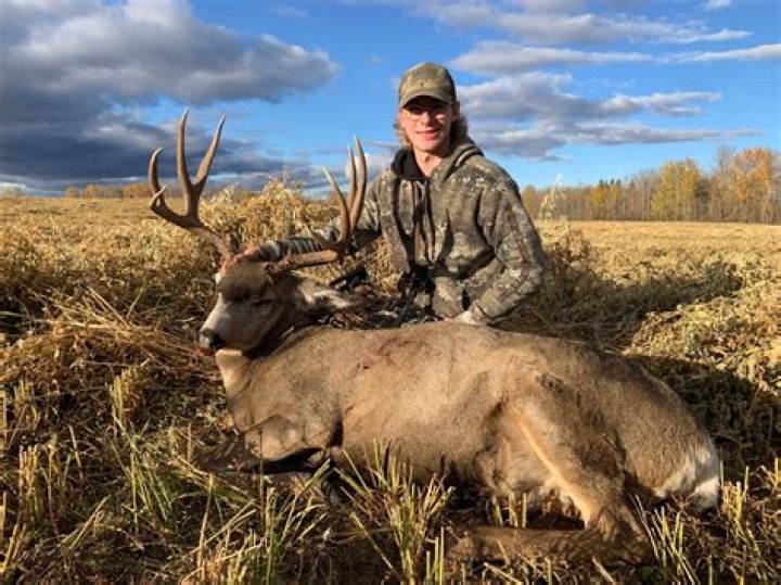 Where are the biggest mule deer in Alberta?