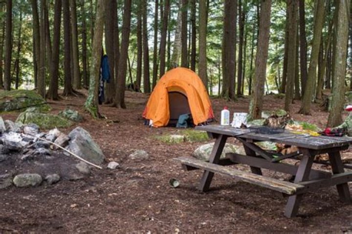 Where can I camp in the Adirondacks for free?