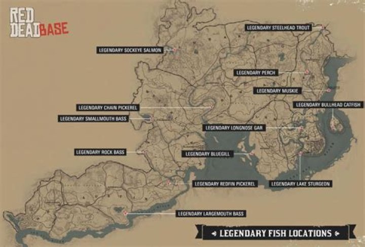 Where can I find sockeye salmon in RDR2?