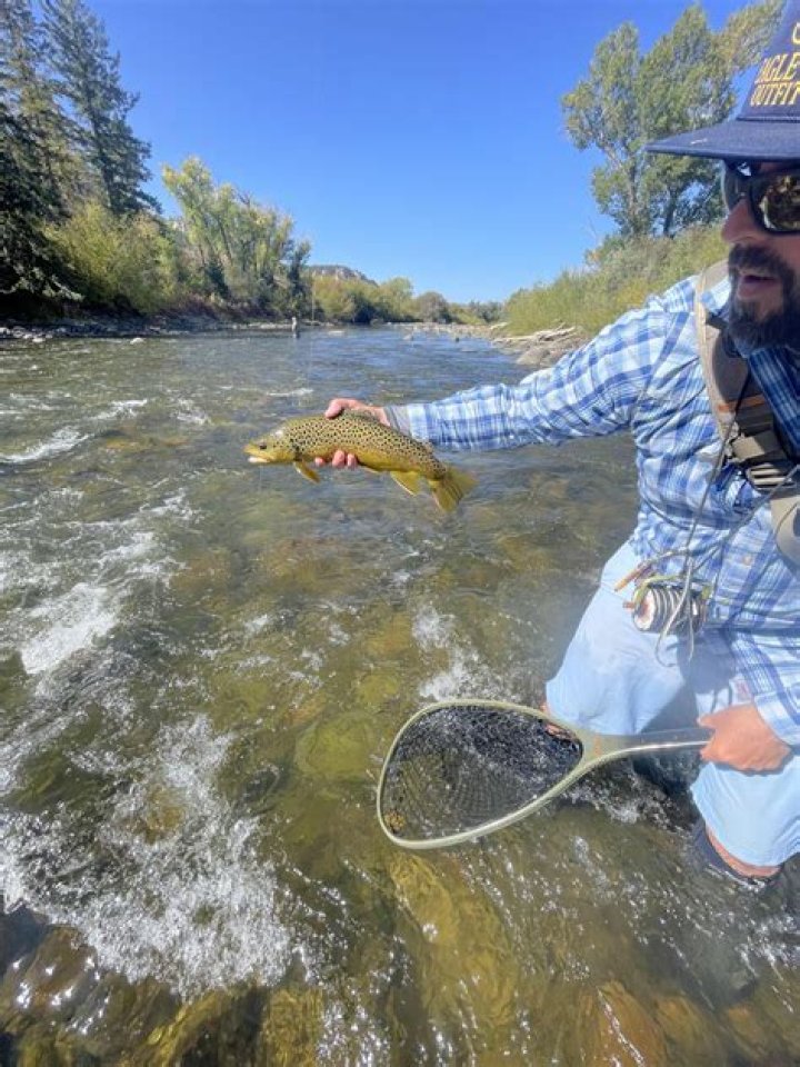 Where can I fish in Slippery Rock Creek?