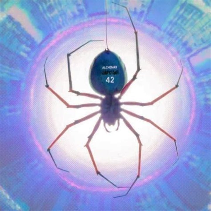 Where do you find radioactive spiders in Crazy Craft?