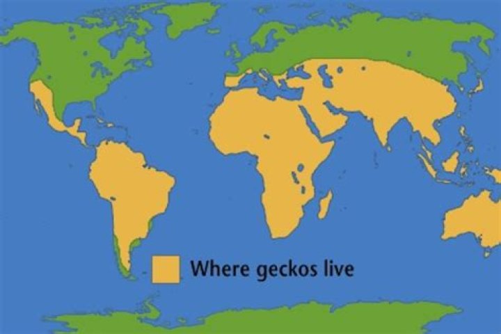 Where does Gordon Gekko live?