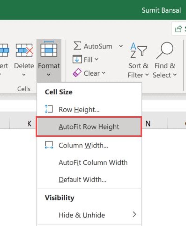 Where is auto fit row height in Excel?